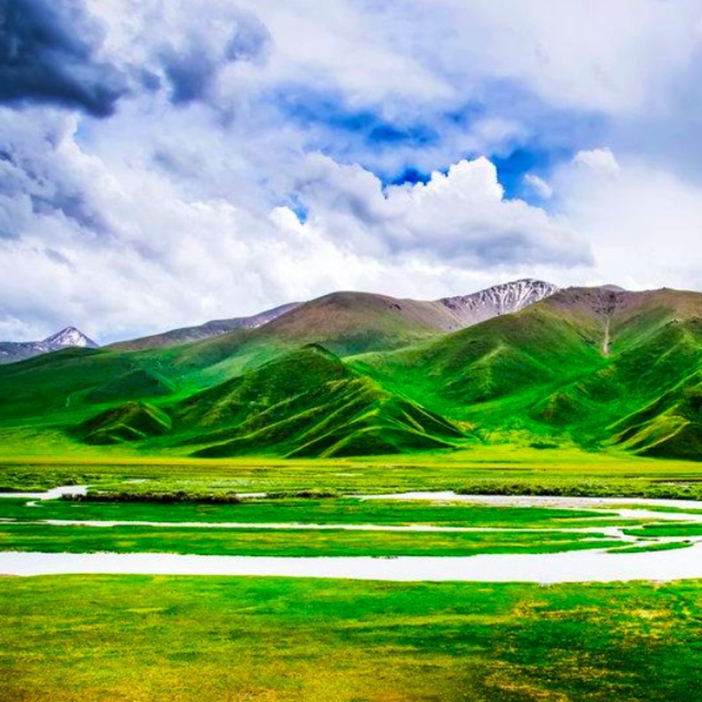 Meet your Posher, Summer